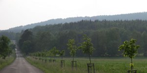 rozhledna Holice